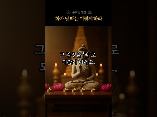 화를 다스리는 방법, 화가 날때는 이렇게 하라 | 부처님의 말씀 | 침묵의지혜 | 치유의말씀 | 부처님가르침