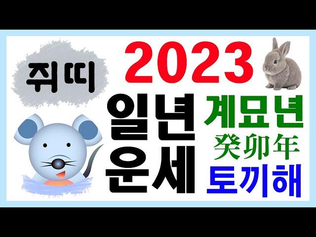 [띠별 일년 운세] 2023 계묘년 쥐띠 운세입니다~ 상담 : 010-9563-2238/사주/운세/역학/철학/주역/관상/풍수지리/주역/육효/철학원