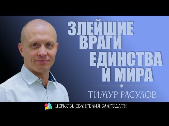 ЗЛЕЙШИЕ ВРАГИ ЕДИНСТВА И МИРА l Тимур Расулов l 26.05.2024