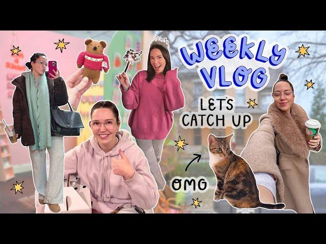 WEEKLY VLOG 20  A VERY FULL VLOG  we got a kitten, chicago, christmas, new year + skunk attack!