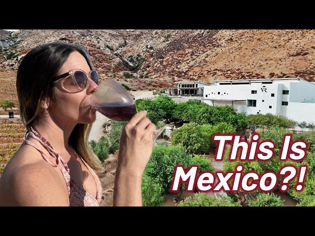 WE’RE LEAVING THE USA: 48 Hours In Valle De Guadalupe In Our DIY Earthroamer