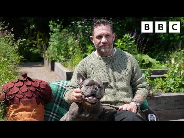 Bedtime Stories: Tom Hardy reads The Oak Tree | CBeebies