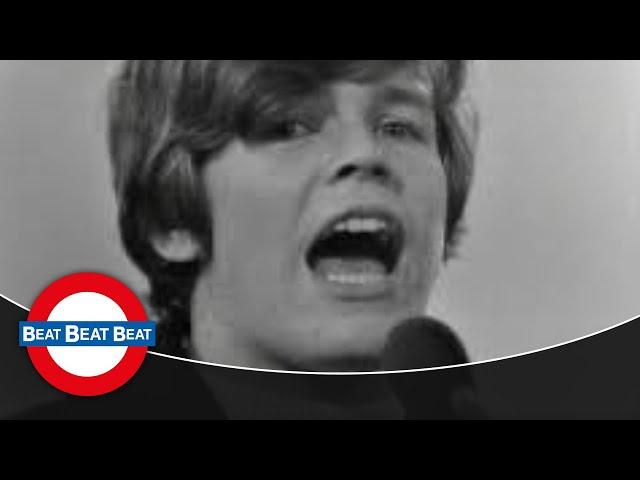 Herman's Hermits - No Milk Today (1966)