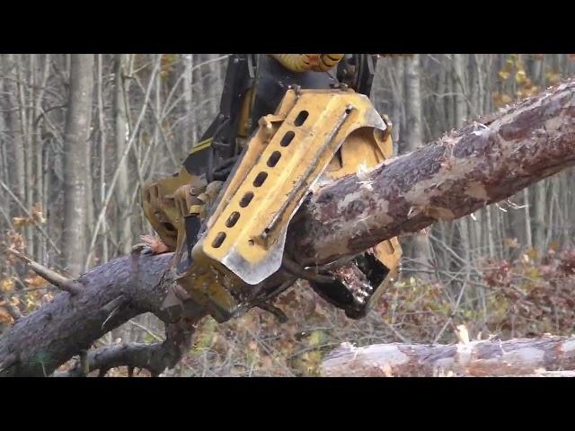 New logging series showcasing the innovative machines from Ponsse, Tigercat, and John Deere (part 1)