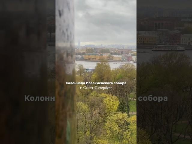 А вы поднимались на Колоннаду? #питер  #санктпетербург #спб #travel #путешествия