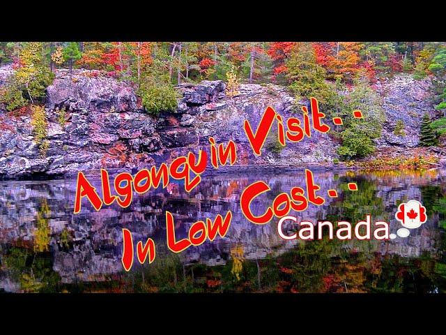 Algonquin provincial park | What to see in Algonquin | Ontario  Canada|