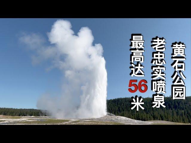 老忠实喷泉Old Faithful，黄石公园中最著名的热喷泉--美国中西部自驾游20天（6）