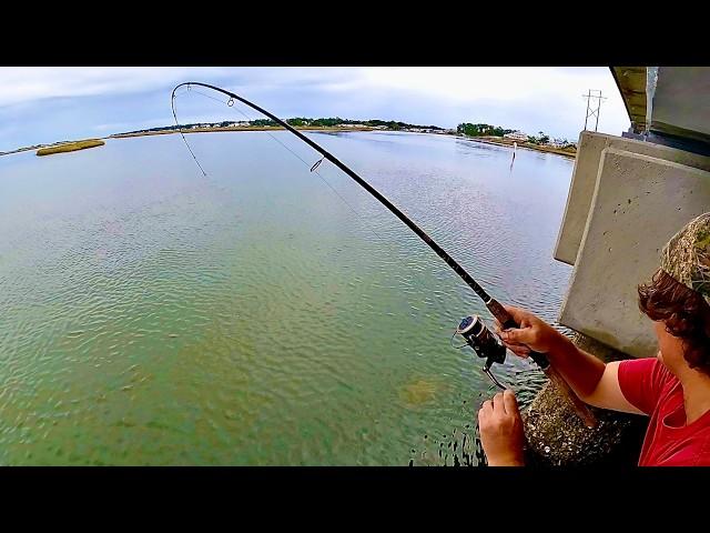 BIGGEST SHEEPSHEAD 2024 - Variety Inshore Fishing