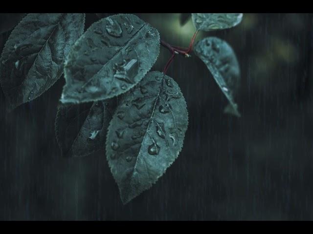 Iris · Goo Goo Dolls | (Rain edition) Acoustic