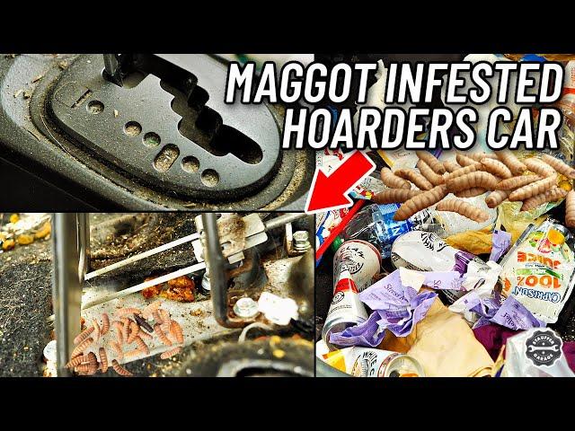 Car Detailing A Nasty Maggot Filled Hoarder's Car... Interior Restoration How To