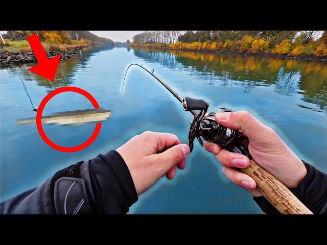 72 hours of fishing and only THIS bait catches!
