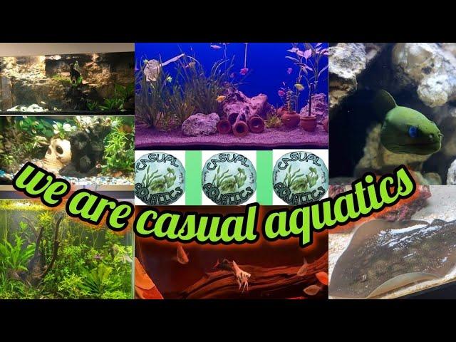 we are casual aquatics | thanks for being a member