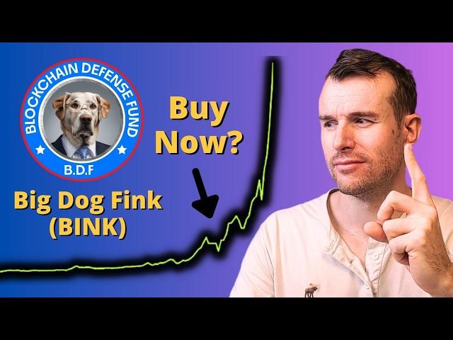 Why Big Dog Fink Is Up...  BINK Crypto Token Analysis