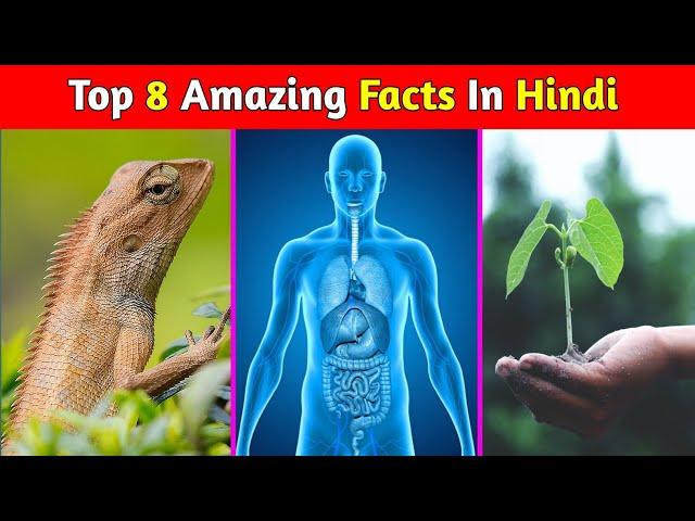 Top 8 Amazing Facts In Hindi | Mind Blowing Facts | Random Facts | Facts In Hindi | #shorts