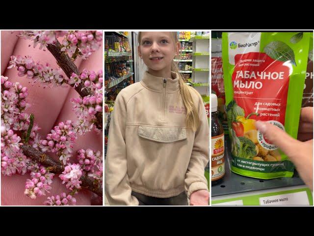 Vlog: Fix price // Покупки // Семейный канал // Влог