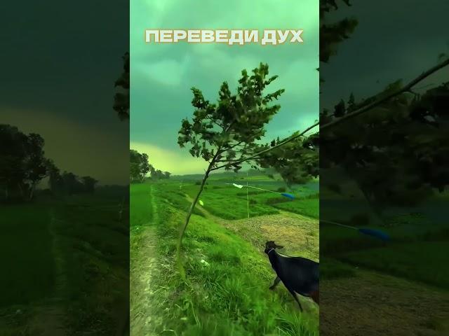 ПЕРЕВЕДИ ДУХ#сила #мотивация #мышление #рек #успех #бизнес #дисциплина #путь