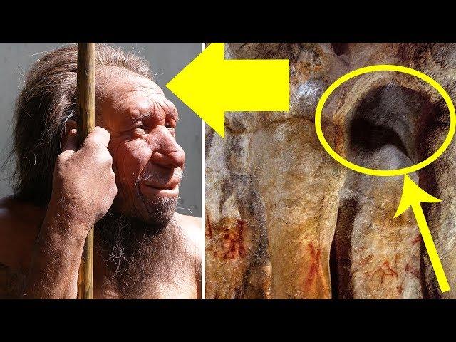 These 64,000-Year-Old Paintings Have Just Been Discovered – And They Weren’t Created By Humans