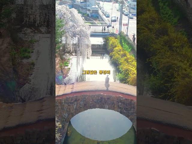 한국의 어느 한적한 시골마을, 사람들이 모여 있다?!