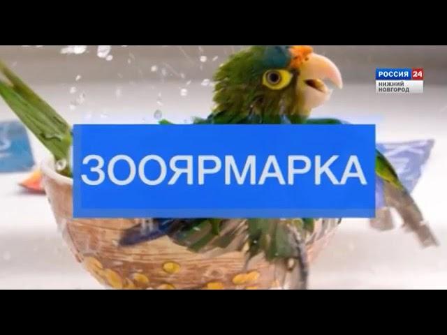 Приют "Верные Друзья"
