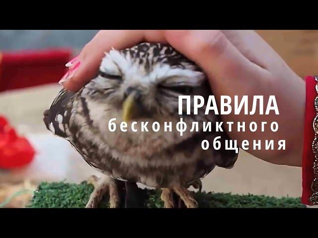 Бесконфликтное общение