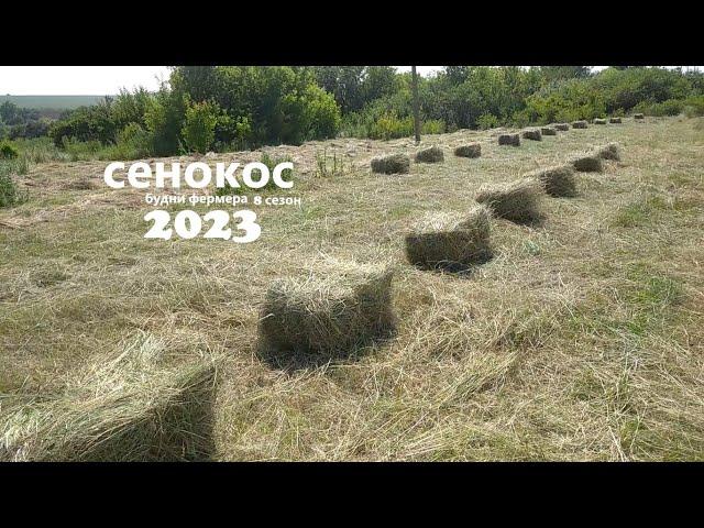 прессую тюки сена перевожу на новом помощнике сенокос 2023 18 19 июня