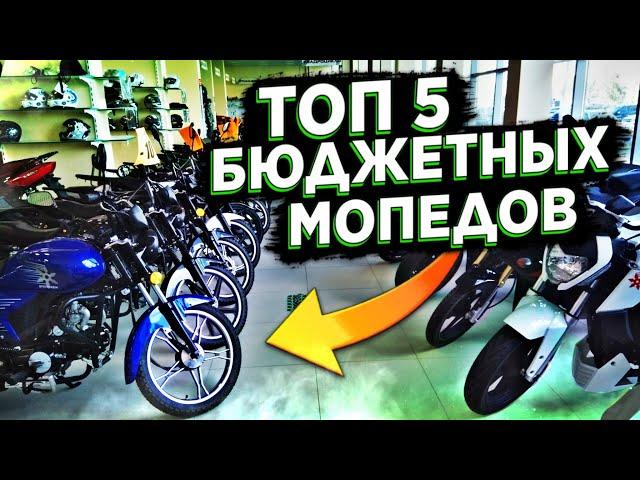  ТОП 5 БЮДЖЕТНЫХ МОПЕДОВ! ТОП 5 МОПЕДОВ ДЛЯ НОВИЧКА! ЛУЧШИЙ МОПЕД ДЛЯ НОВИЧКА!