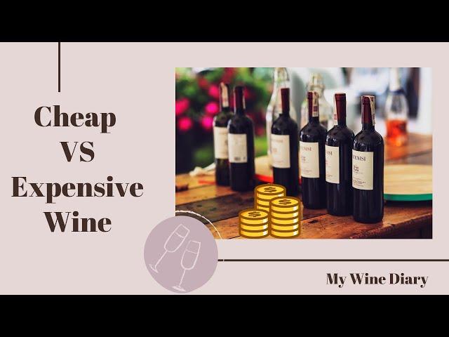 Cheap vs. Expensive Wine: Can You Taste the Difference? | Wine Education & Tasting Tips