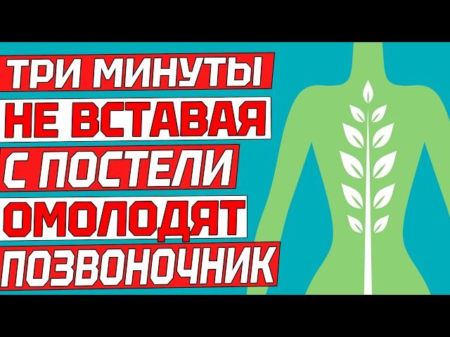 Здоровый позвоночник за три минуты в день утром лежа в постели