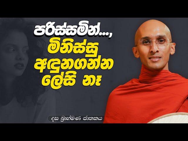 274. මිනිස්සු අඳුනගන්න ලේසි නෑ... | දස බ්‍රාහ්මණ ජාතකය | 2024-02-28