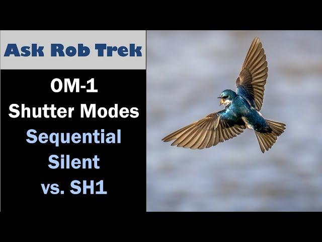 OM System OM-1 Shutter Modes: Silent Sequential vs SH1 vs SH1 ep.462