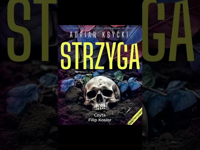 książka Kryminały po Polsku AudioBook PL P1