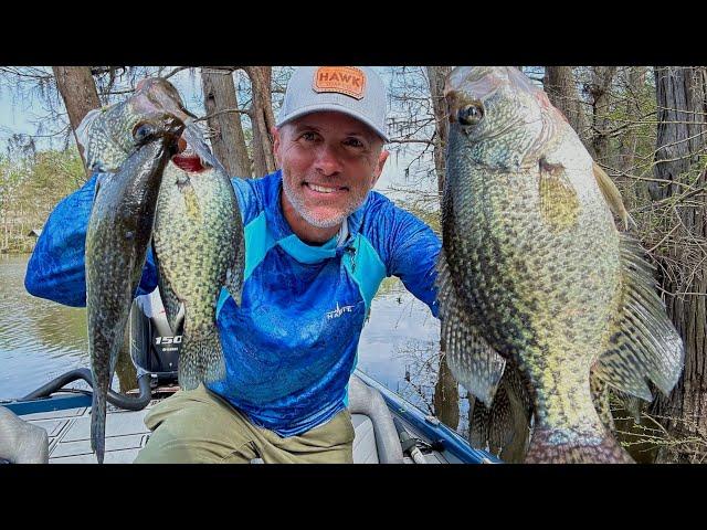 2 Hours Catching Crappie on Cypress! Catch & Cook