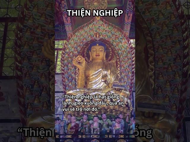 Lời Phật dạy về Thiện Nghiệp, hãy làm việc lành mỗi ngày  #phậtpháp #lờiphậtdạy #tỉnhthức #thiền