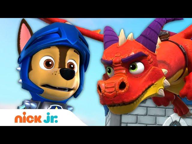 PAW Patrol Rescue Knights Stop Fire Breathing Dragon!  | Nick Jr.