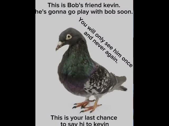 This is kevin