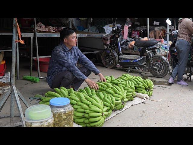 Robert sells green bananas. Does anyone want to buy them. Green forest life