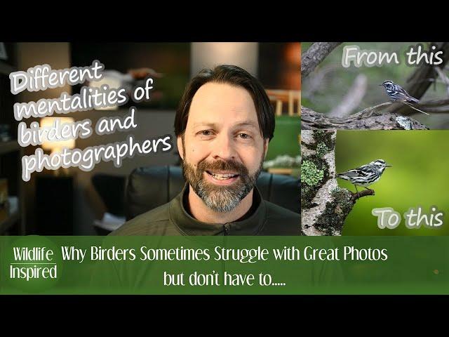 Why Birders Struggle with Bird Photography