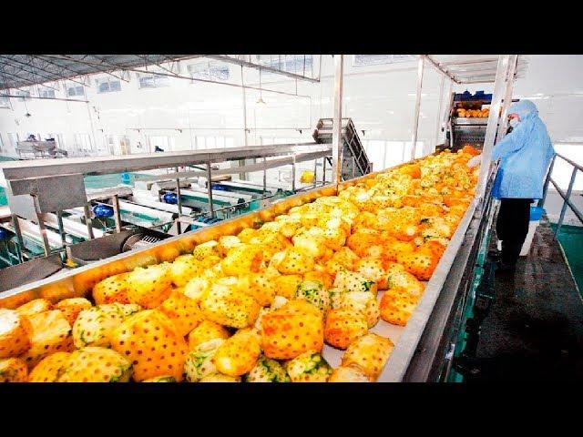 Satisfying Juice Fruit Processing Modern Technology  - Lemon Tipus Pineapple Juice Processing