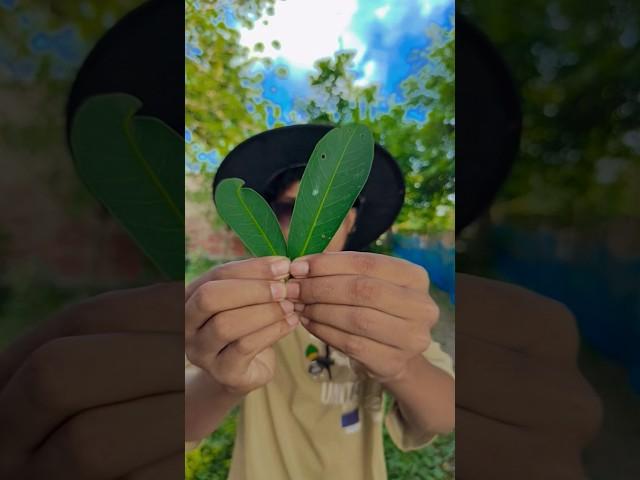 Giant Green Candy ASMR!?@LukeDidThat