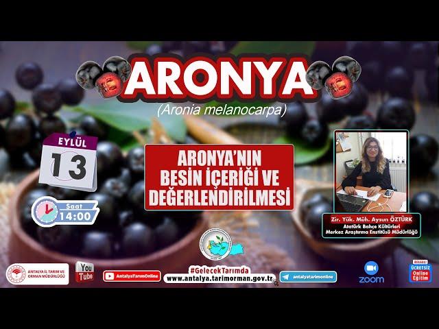 ARONYA-Aronya'nın Besin İçeriği ve değerlendirilmesi 2 Ziraat Yüksek Mühendisi Aysun ÖZTÜRK