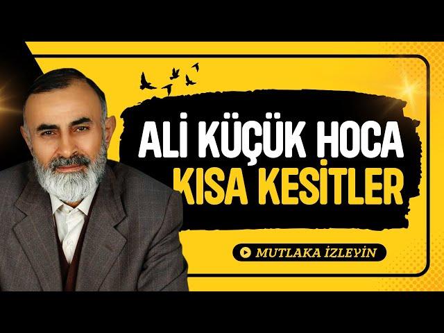 Ali Küçük Hocadan En İyi Kısa Kesitler (İzlemenizi Öneririm)