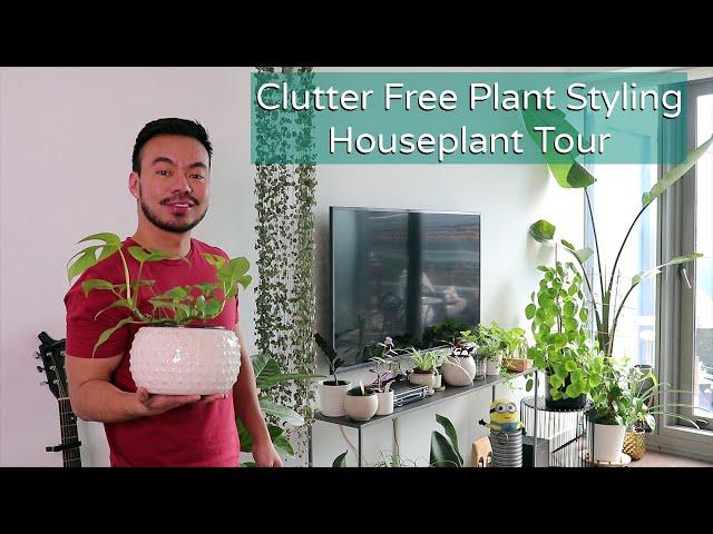 Houseplant Styling and Indoor Plant Collection Tour | Clutter Free Small Space