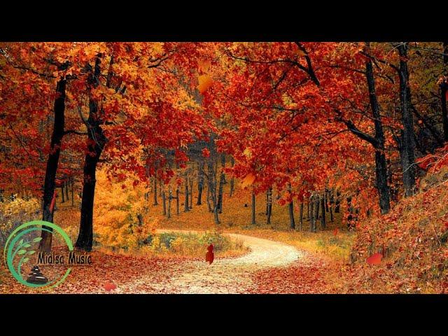 Relaxing Meditation Music, Deep Sleep Music, Relaxing Music, Studying Music, Stress Relief Music ⭐️1