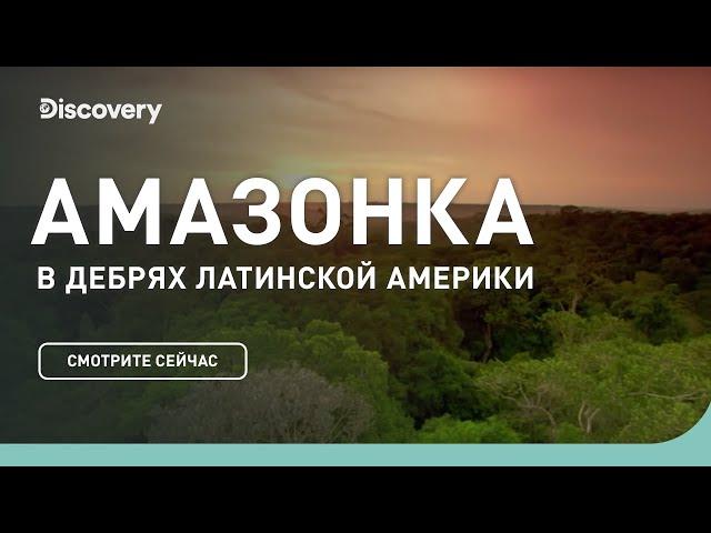 Амазонка | В дебрях Латинской Америки | Discovery Channel