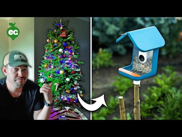 Don't Throw Your Christmas Tree Away (Do This Instead)