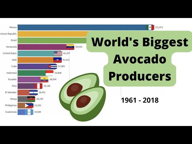 The World's Biggest Avocado Producers
