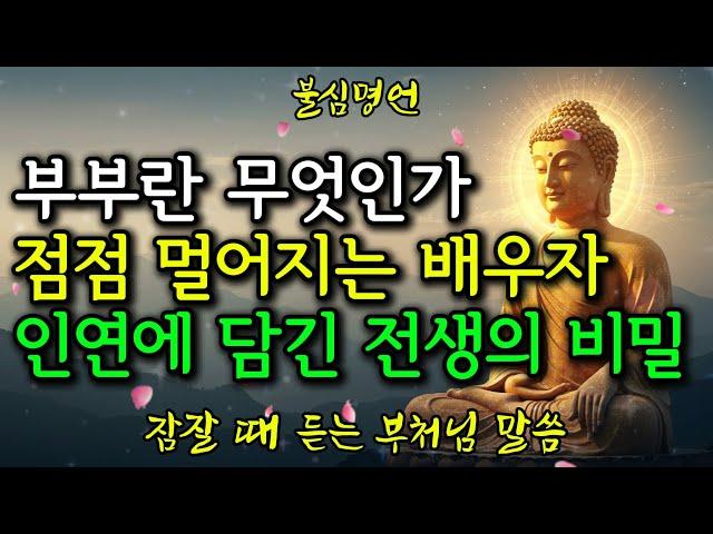 부부란 무엇인가, 점점 멀어지는 배우자와 전생의 인연에 담긴 비밀이야기 #부처님말씀 #불교가르침 #명상 #깨달음 #마음공부 #삶의지혜 #인생명언 #좋은글#부처님가르침