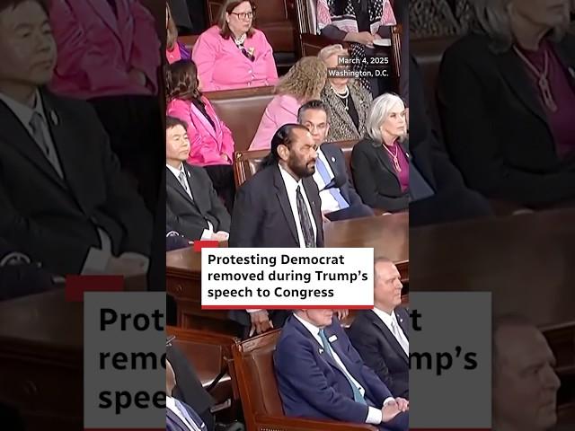 Protesting Democrat removed during Trump’s speech to Congress