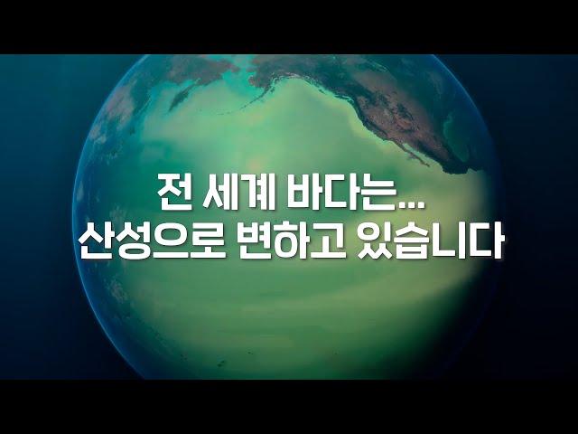 바다가 산성으로 변하고 있다는 충격적인 연구 결과... 앞으로 꽃게, 조개, 홍합을 영영 먹지 못할지도 모릅니다