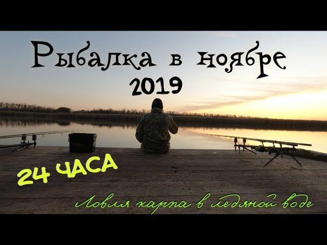 Рыбалка на карпа в ноябре | 24 часа на реке | карп в ледяной воде | HD